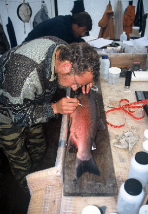 Фото Центра дикого лосося (США)