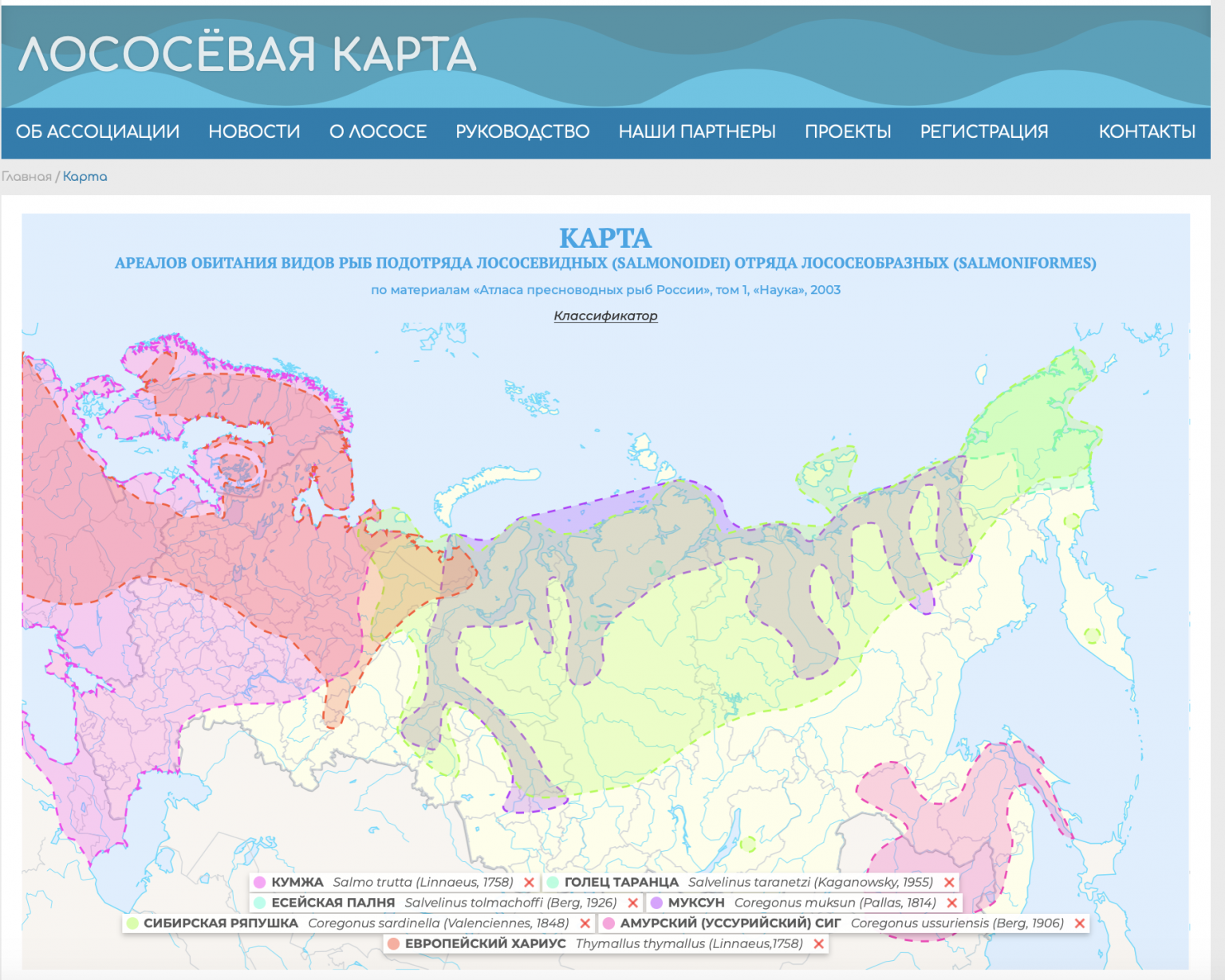 Энергетик на карте. Энергетическая карта Екатеринбурга.